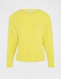 Morgan Sweater MOLY JONQUILLE