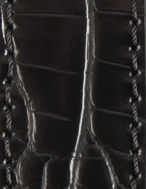 Morgan Pasek 3ARLE NOIR