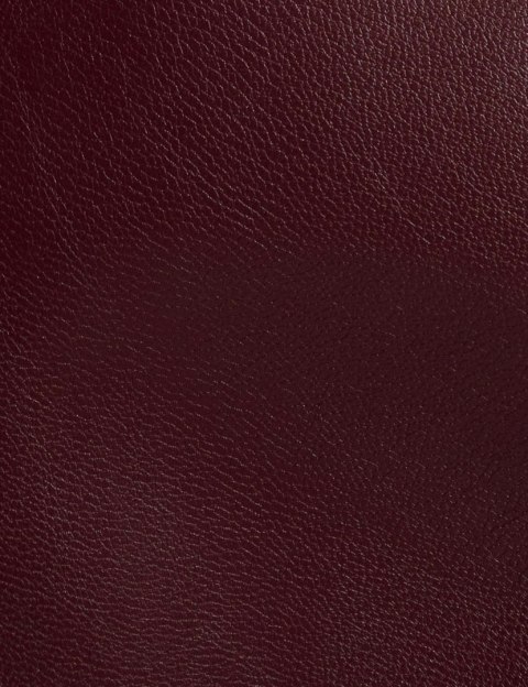 Morgan Spódnica JILF PRUNE