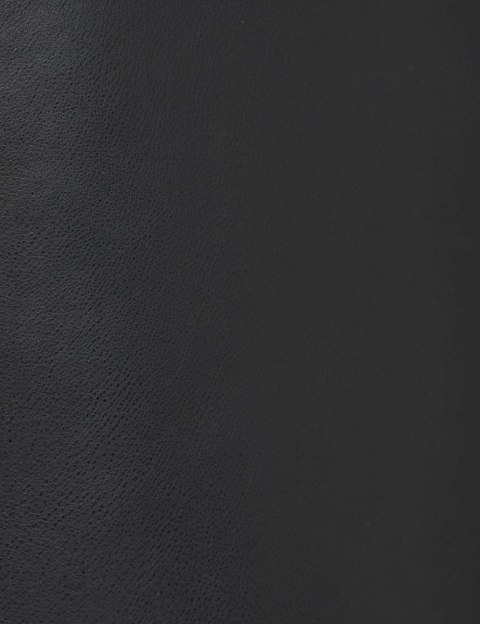 Morgan Skirt JADY NOIR