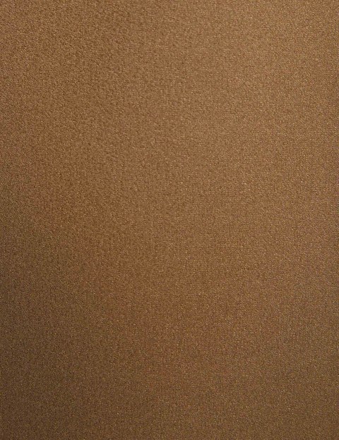 Morgan Skirt JCELIN NUT