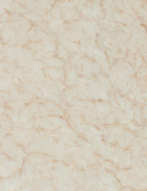 Morgan 5GILOU IVOIRE