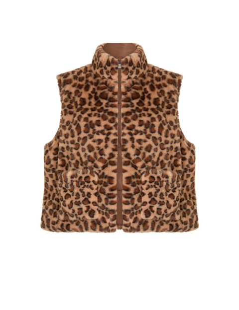 Morgan 5GILEO MULTICO