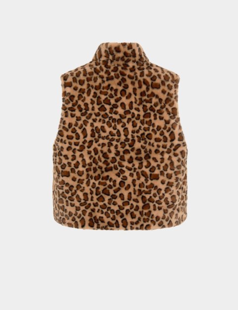 Morgan 5GILEO MULTICO