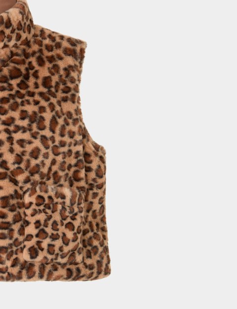 Morgan 5GILEO MULTICO