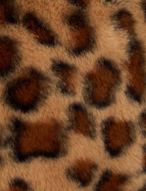 Morgan 5GILEO MULTICO