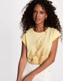 Morgan Blouse DANANA PALE BANANA